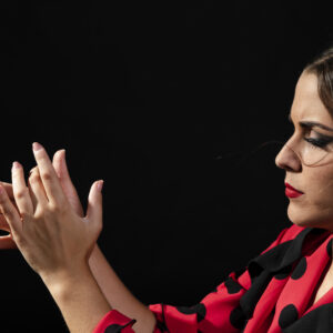 Cena con Show Flamenco y Gastronomía Andaluza