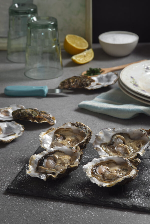 Experiencia Ostras en Galicia