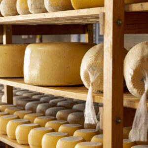 Ruta del Queso Manchego