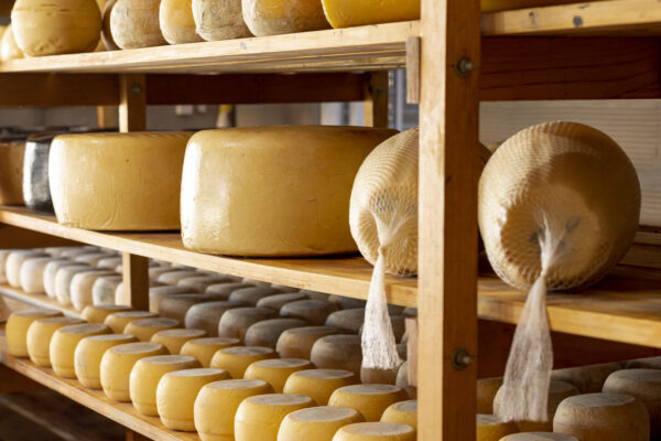 Ruta del Queso Manchego