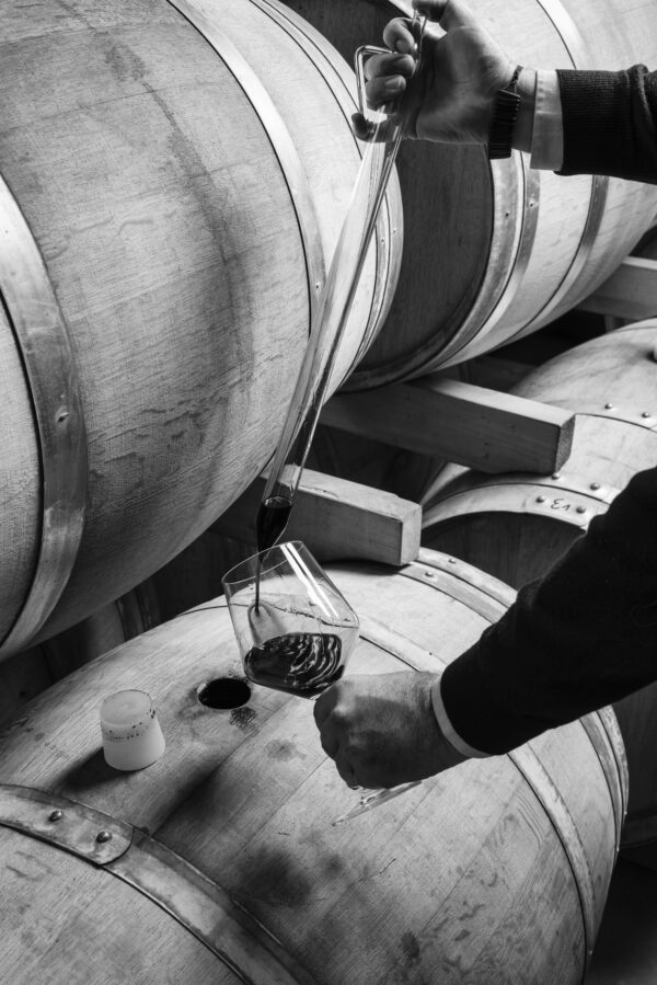 Maridaje con Vinos Extremeños