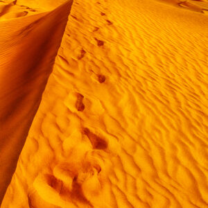 Expedición Fotográfica al Sahara