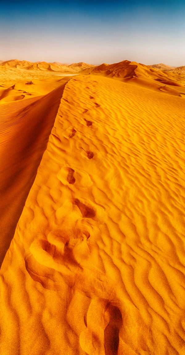 Expedición Fotográfica al Sahara
