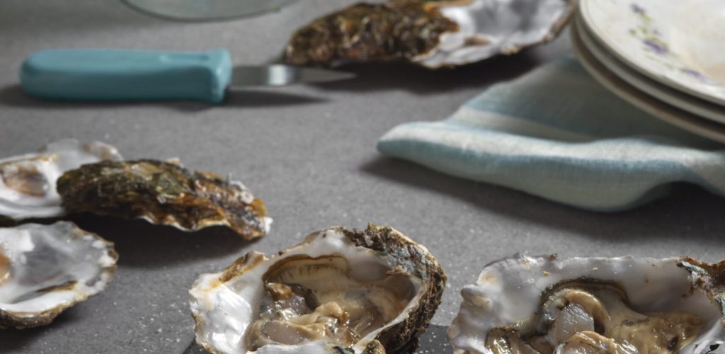 deliciosas-ostras-listas-para-comer-naturaleza-muerta